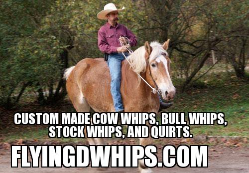 Cow whipsfor sale